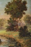 Veress Zoltán (1868-1935): Vízparti táj. Olaj, vászon, jelzett, dekoratív fakeretben, 50×60 cm