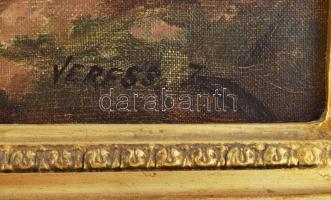 Veress Zoltán (1868-1935): Vízparti táj. Olaj, vászon, jelzett, dekoratív fakeretben, 50×60 cm