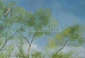 Pituk jelzéssel: Halász a csónakban. Olaj, farost. Sérült. 50×35 cm