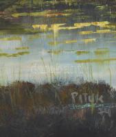 Pituk jelzéssel: Halász a csónakban. Olaj, farost. Sérült. 50×35 cm