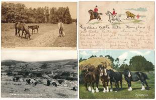 LOVAK - 42 db főleg RÉGI motívum képeslap, közte modernek is / HORSES - 42 mainly pre-1945 motive postcards, including modern ones also