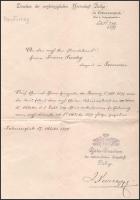 1897 Bellye, Főherceglak, Direction der erzhrzoglichen Herrschaft Bellye fejléces levél, pecséttel