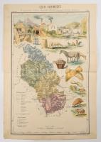 Csik vármegye nagy méretű (37 x 53 cm. ) kőnyomatú térképe (Tusnád - Csikszereda - Gyergyószentmiklós). Megjelent, Hátsek Ignácz: Magyarország megyei térképei c. atlasz lapjaként. Rajzolta Hátsek Ignácz. kiadta: Lampel Róbert (Wodianer F. És Fiai) nyomtatta: Kunossy Vilmos és Fia, Budapest. Az atlasz lapjai a hazai térképtörténet talán legszebb térképei. A gyönyörűen színezett darabokon az adott vármegyére jellemző épületek, mezőgazdasági termények, állatok, ipari termékek, közlekedési eszközök, természeti látnivalók láthatóak.