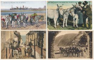SZAMARAK - 33 db főleg régi motívum képeslap szamárral / DONKEYS - 33 mainly pre-1945 motive postcards