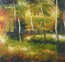 Olvashatatlan jelzéssel: Erdőrészlet. Olaj, farost. Sarkaiban kissé sérült. 50×52 cm.