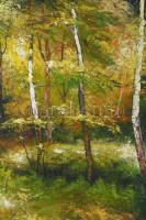 Olvashatatlan jelzéssel: Erdőrészlet. Olaj, farost. Sarkaiban kissé sérült. 50×52 cm