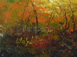 Olvashatatlan jelzéssel: Erdőrészlet. Olaj, farost. Sarkaiban kissé sérült. 50×52 cm