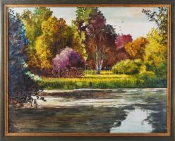 Egri Tibor ( - ): Vízpart. Olaj, farost, jelezve balra lent. Dekoratív fakeretben, 40×50 cm