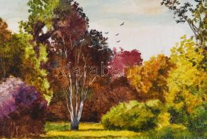 Egri Tibor ( - ): Vízpart. Olaj, farost, jelezve balra lent. Dekoratív fakeretben, 40×50 cm