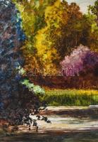 Egri Tibor ( - ): Vízpart. Olaj, farost, jelezve balra lent. Dekoratív fakeretben, 40×50 cm