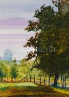 Egri Tibor ( - ): Táj. Olaj, farost, jelezve jobbra lent. Dekoratív fakeretben, 40×50 cm