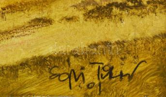 Egri Tibor ( - ): Táj. Olaj, farost, jelezve jobbra lent. Dekoratív fakeretben, 40×50 cm