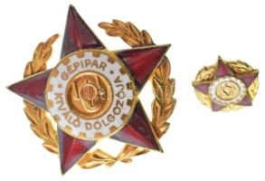 DN (~1960-1970) "Gépipar Kiváló Dolgozója" aranyozott, műgyantás fém jelvény miniatűrrel T:AU