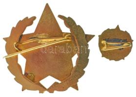 DN (~1960-1970) "Gépipar Kiváló Dolgozója" aranyozott, műgyantás fém jelvény miniatűrrel T...