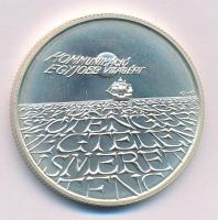 1993. 500Ft Ag "Expo 96" kapszulában T:BU
Adamo EM131