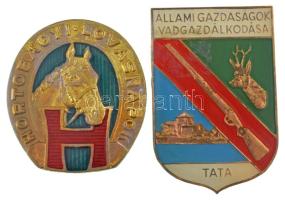 DN "Hortobágyi Lovasnapok" műgyantás sárgaréz jelvény hátoldalán rögzítő pántokkal (45x50mm) + DN "Állami Gazdaságok Vadgazdálkodása - Tata" egyoldalas, műgyantás bronz plakett (40x60mm) T:VF, ragasztónyom