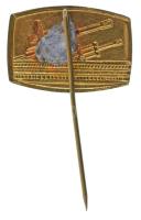 DN "Gépesített Tarack" festett bronz lemezjelvény (18x23mm) T:AU, pótolt tű