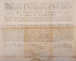 1839 Gyógyszerész diploma, Müller Lajos részére. Fabini János Teofil (1791-1847) orvos, szemész, orvosi kar dékánja (1838-1839), Sadler József (1791-1849) orvosdoktor, botanikus, egyetemi tanár aláírásával, restaurált