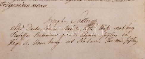 1839 Gyógyszerész diploma, Müller Lajos részére. Fabini János Teofil (1791-1847) orvos, szemész, orv...