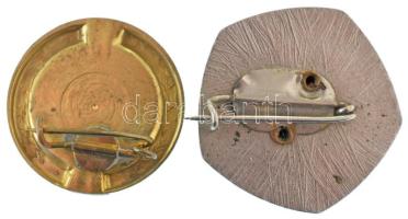 DN (~1970) "Igazságügyi Törzsgárda - 10 év után" aranyozott, műgyantás kitüntető jelvény (...