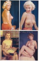 88 db MODERN megíratlan erotikus képeslap, "Classic Pin-Ups" sorozat, meztelen hölgyek / 88 modern unused erotic postcards: Classic Pin-Ups, nude women