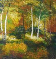 Jelzés nélkül: Erdőrészlet. Olaj, farost. 50×47 cm.