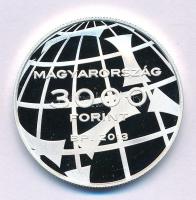 2013. 3000Ft Ag "FIFA Labdarúgó Világbajnokság Brazília 2014" kapszulában T:PP Adamo EM262