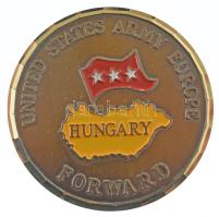 Amerikai Egyesült Államok DN "Amerikai Egyesült Államok Európai Hadserege - Magyarország - Előre / Béke támogatása" kétoldalas, aranyozott, zománcozott bronz emlékérem (60mm) T:XF, szennyeződés USA ND "United States Army Europe - Hungary - Forward / Supporting the Peace" two-sided, gilded, enamelled bronze medallion (60mm) C:XF, dirt