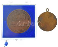 1970. "Békéscsaba Városért" egyoldalas, aranyozott kitüntetés műgyantás városcímerrel, fül...