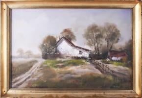 Reinhardt István (1936-): Falu. Olaj, farost, jelzett, hátoldalán Képcsarnok Vállalat címkéjével. Dekoratív fakeretben, 40x60 cm