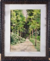 Autheried Camilloné Hannibál Gizella (1881-1978): Erdőrészlet. Akvarell, papír, jelzett. Üvegezett, sérült fakeretben. 38x27,5 cm