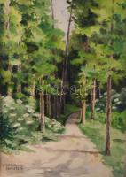 Autheried Camilloné Hannibál Gizella (1881-1978): Erdőrészlet. Akvarell, papír, jelzett. Üvegezett, ...