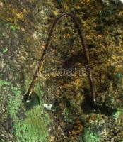 Malachit arc, akasztóval, 12x8 cm