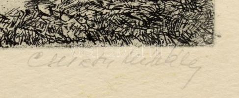 Csisztu Mihály (1933-2008): Vaddisznó idill. Rézkarc, papír, jelzett, kartonra kasírozva, lapszéli e...