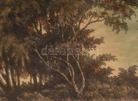 Csisztu Mihály (1933-2008): Hajnal a Balatonon. Színezett rézkarc, papír, jelzett, körbevágva, lapsz...