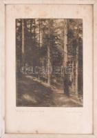 Orphanidesz János (1876-1939): Osztrák tájak Mariazell, Leobensdorf, Wien, 3 db jelzett vintage fotó...