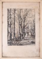 Orphanidesz János (1876-1939): Osztrák tájak Mariazell, Leobensdorf, Wien, 3 db jelzett vintage fotó...