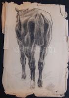 1899 Zombory Lajos (1867-1933): Ló tanulmány, jelzett, szén-papír, 40x56 cm