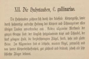 Bungartz, Jean: Taubenrassen. Leipzig, é.n. Twietmayer, 109p. XXXIII. t . Kiadói félvászon kötésben,...