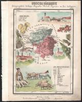 Ugocsa vármegye kőnyomatú térképe (Beregszász - Nagyszőllős - Tiszaújlak). Megjelent, Hátsek Ignácz: Magyarország megyei térképei c. atlasz lapjaként. Rajzolta Hátsek Ignácz. kiadta: Lampel Róbert (Wodianer F. És Fiai) nyomtatta: Kunossy Vilmos és Fia, Budapest. Az atlasz lapjai a hazai térképtörténet talán legszebb térképei. A gyönyörűen színezett darabokon az adott vármegyére jellemző épületek, mezőgazdasági termények, állatok, ipari termékek, közlekedési eszközök, természeti látnivalók láthatóak.