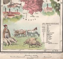 Ugocsa vármegye kőnyomatú térképe (Beregszász - Nagyszőllős - Tiszaújlak). Megjelent, Hátsek Ignácz:...