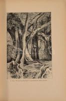 Cholnoky Jenő: A csillagoktól a tengerfenékig. I-IV. köt. I. köt. A csillagok világa. II. köt. Meteo...