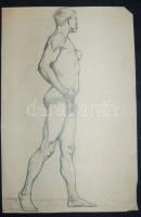 Zombory Lajos (1867-1933):Pihenő ló 1899. Tanulmány rajz, hátoldalán férfi akt, papír, szén, jelzett...