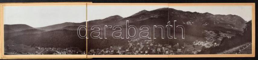 1906 Sinaia, general view. 3-tiled folding panoramacard in paper case