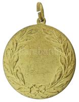 DN "Sportlövészet" kétoldalas, aranyozott fém díjérem füllel (44mm) T:XF,VF, enyhe aranyoz...