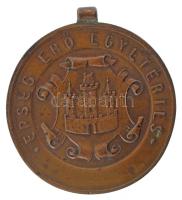 1900-1910 k. "Pozsonyi Torna Egyesület 1880 / Épség Erő Egyetértés" kétoldalas bronz díjérem füllel (34mm) T:XF,VF, patina, pici ph.