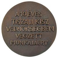 1985 k. "Tisza II / A 10 éves Tisza II KISZ védnökségben végzett munkájáért" bronz emlékér...