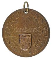 Németország DN "ANNO 1379 - Zittau / ANNO 1379 - Deroybin" kétoldalas bronz emlékmedál, br...