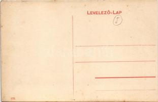 Versec, Werschetz, Vrsac; Baross szálloda, kút / hotel and well