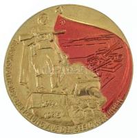 Német Demokratikus Köztársaság 1970-1980 k. "Gedenkstätte der Befreiung auf den Seelower Höhen (Felszabadulási emlékmű a Seelow-magaslaton)" részben festett bronz emlékérem eredeti tokban (70mm) T:AU German Democratic Republic 1970-1980 k. "Gedenkstätte der Befreiung auf den Seelower Höhen (Liberation Memorial on the Seelow Heights)" partially painted bronze medallion in original case (70mm) C:AU